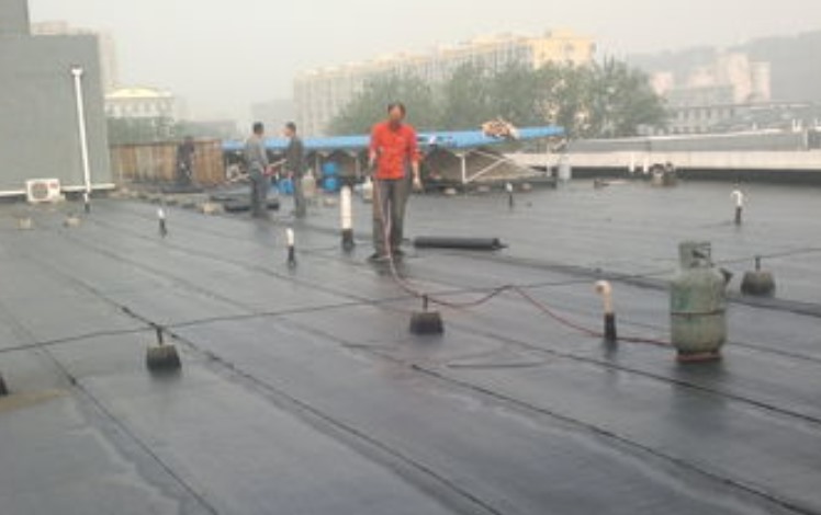 QQ截图20230602205441